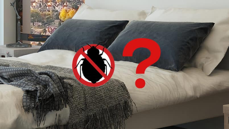 Précautions contre les punaises de lit